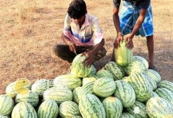 吃瓜网heilalo,带你走进热门话题背后的真相