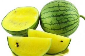 阿纯网红吃瓜图片,揭秘娱乐圈幕后真相